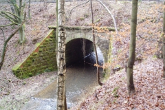 maerchenwache_04_3_20091227_1138308190
