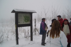 Meißner 2004