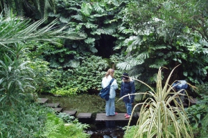 Palmengarten 2005