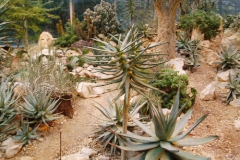 palmengarten_05_14_20091227_2005381769