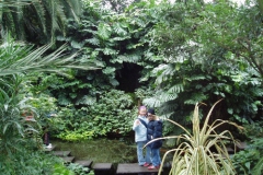 Palmengarten 2005