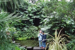 palmengarten_05_2_20091227_1413409169