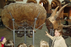 senkenbergmuseum_05_28_20091227_1709550211