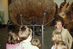 senkenbergmuseum_05_29_20091227_1939216229