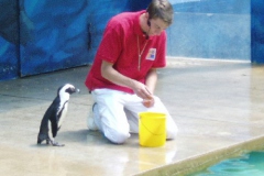 Hannover Zoo 2006