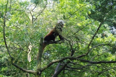 hannover_zoo_06_44_20091227_1826510873