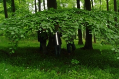 muttertagswanderung_06_3_20091227_2071790129