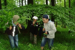 muttertagswanderung_06_4_20091227_1833120236