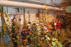 tropeninstitut_06_11_20091227_1287113164