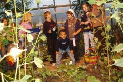 tropeninstitut_06_15_20091227_1929193585