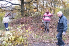 arbeitseinsatz_okt_2010_4_20101105_1405596910