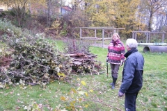 arbeitseinsatz_okt_2010_5_20101105_1419571661