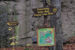 Wandern im Soeder Wald 2010