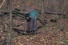 soeder_wald_26_20101110_1036824480