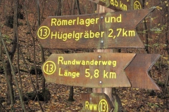 soeder_wald_28_20101110_1294893593
