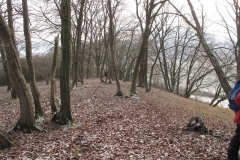 Wanderung zum Riesenstein 2010