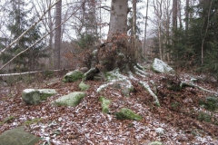 riesenstein_10_20101203_1958341117