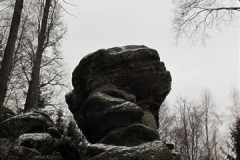 riesenstein_15_20101203_1984955314