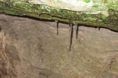 riesenstein_25_20101203_1310569017