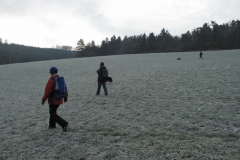 riesenstein_4_20101203_1460547623