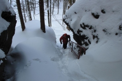 thuehringer_wald_01_20101215_1951125752