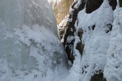 thuehringer_wald_20_20101215_1509170601