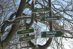 thuehringer_wald_25_20101215_1934162157