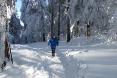 thuehringer_wald_28_20101215_1119430135