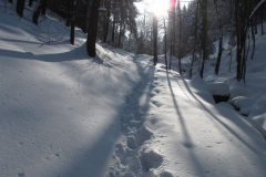 Winterwanderung 2010