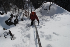 Winterwanderung 2010