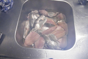 Forellenessen