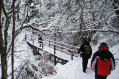 meissner_winter_2012_11_20120206_1839816260