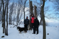 meissner_winter_2012_26_20120206_1595723074