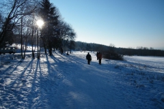 meissner_winter_2012_36_20120206_1728513976