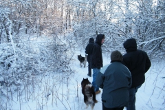 meissner_winter_2012_41_20120206_1820917702