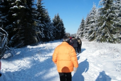 meissner_winter_2012_58_20120206_1412669980