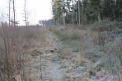 Wanderung zum Falkenstein