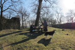 Wanderung zum Falkenstein