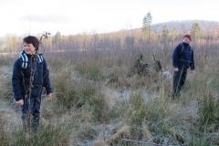 falkenstein_winter_2012_4_20120127_1360313464