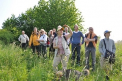 hie-und_kripploecher_01_20130617_1169880617