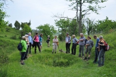 hie-und_kripploecher_5_20130617_1847025030
