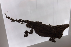 messel_10_20130315_1709495281