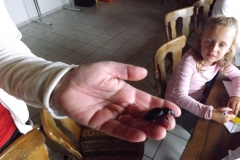 herbstfest_2013_73_20130916_1169801789