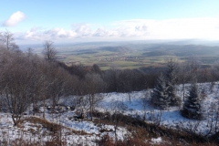 meissner_2013_16_20130209_2007362121