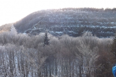 meissner_2013_17_20130209_2094351970