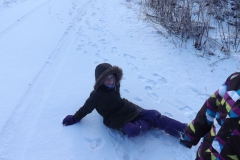 meissner_2013_20_20130209_1346827211