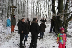 meissner_2013_29_20130211_1457780898