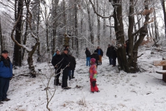 meissner_2013_2_20130209_1238734862