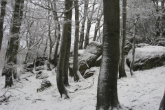 meissner_2013_32_20130211_1466301095