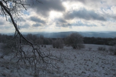 meissner_2013_38_20130211_2021301263